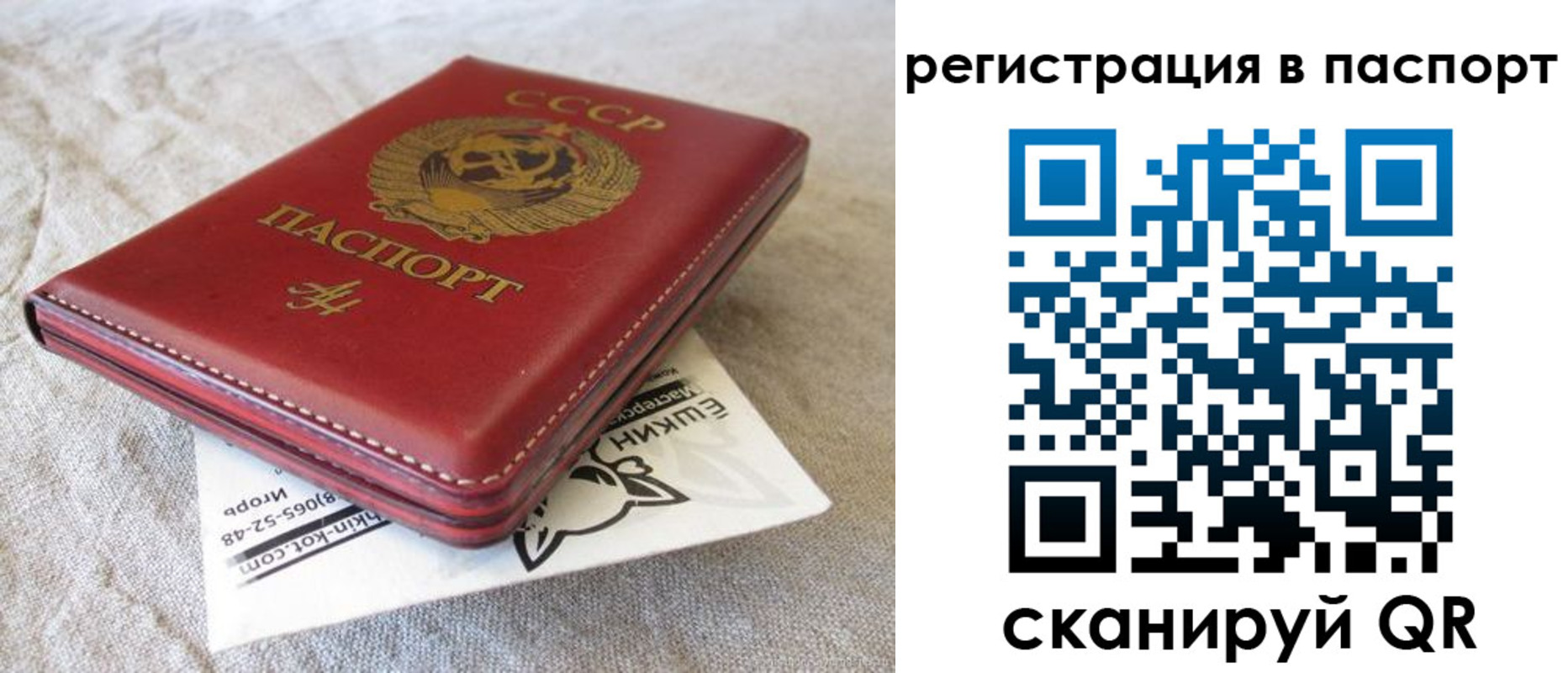 где прописаться в Светлогорске