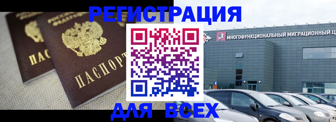 прописка 2025 в Светлогорске